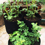 Plant Grow Bags Potato Planter Bag_4