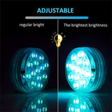 10/13 Lights Remote Controlled LED Diving Light with Magnetic Suction Cup- Battery Operated_1