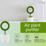 USB Powered Portable Green Plant Negative Ion Desktop Air Purifier_8