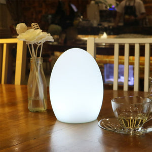 Remote Controlled USB Rechargeable LED Room Orb Night Light_9