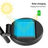 Crescent Hollow Half Moon Solar Powered Stake Lights_3
