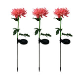 Waterproof Solar Powered Chrysanthemum Garden Stake Lights_12
