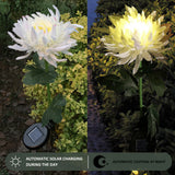 Waterproof Solar Powered Chrysanthemum Garden Stake Lights_2