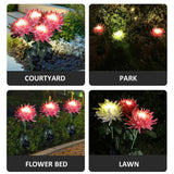 Waterproof Solar Powered Chrysanthemum Garden Stake Lights_3