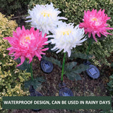 Waterproof Solar Powered Chrysanthemum Garden Stake Lights_4
