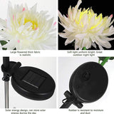 Waterproof Solar Powered Chrysanthemum Garden Stake Lights_6