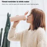 USB Rechargeable Insulated Smart Water Bottle with OLED Display_3
