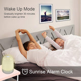 Dimmable Bedside Touch Night Light and Alarm Clock- USB Charging_18