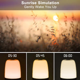 Dimmable Bedside Touch Night Light and Alarm Clock- USB Charging_2