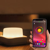 USB Rechargeable Motion Sensor APP Control Colorful Lamp_6