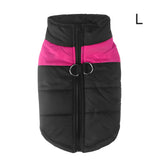 Warm Up Zip Up Padded Dog Jacket with Dual Ring Leash_11