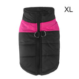 Warm Up Zip Up Padded Dog Jacket with Dual Ring Leash_15
