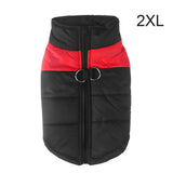 Warm Up Zip Up Padded Dog Jacket with Dual Ring Leash_18