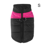 Warm Up Zip Up Padded Dog Jacket with Dual Ring Leash_3