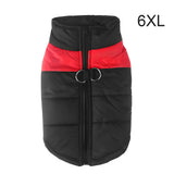 Warm Up Zip Up Padded Dog Jacket with Dual Ring Leash_34