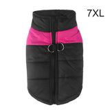Warm Up Zip Up Padded Dog Jacket with Dual Ring Leash_39