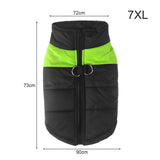 Warm Up Zip Up Padded Dog Jacket with Dual Ring Leash_51