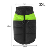 Warm Up Zip Up Padded Dog Jacket with Dual Ring Leash_47