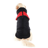 Warm Up Zip Up Padded Dog Jacket with Dual Ring Leash_53