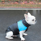 Warm Up Zip Up Padded Dog Jacket with Dual Ring Leash_54