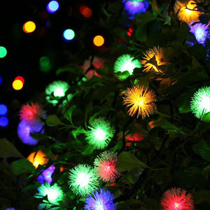 Solar Powered LED Dandelion Flower Pompom Lights_0