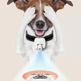 Pet Projector LED Protective Night Light Collar-USB Rechargeable_3